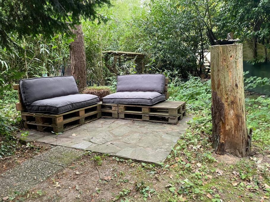 Gezellige Caban in de natuur