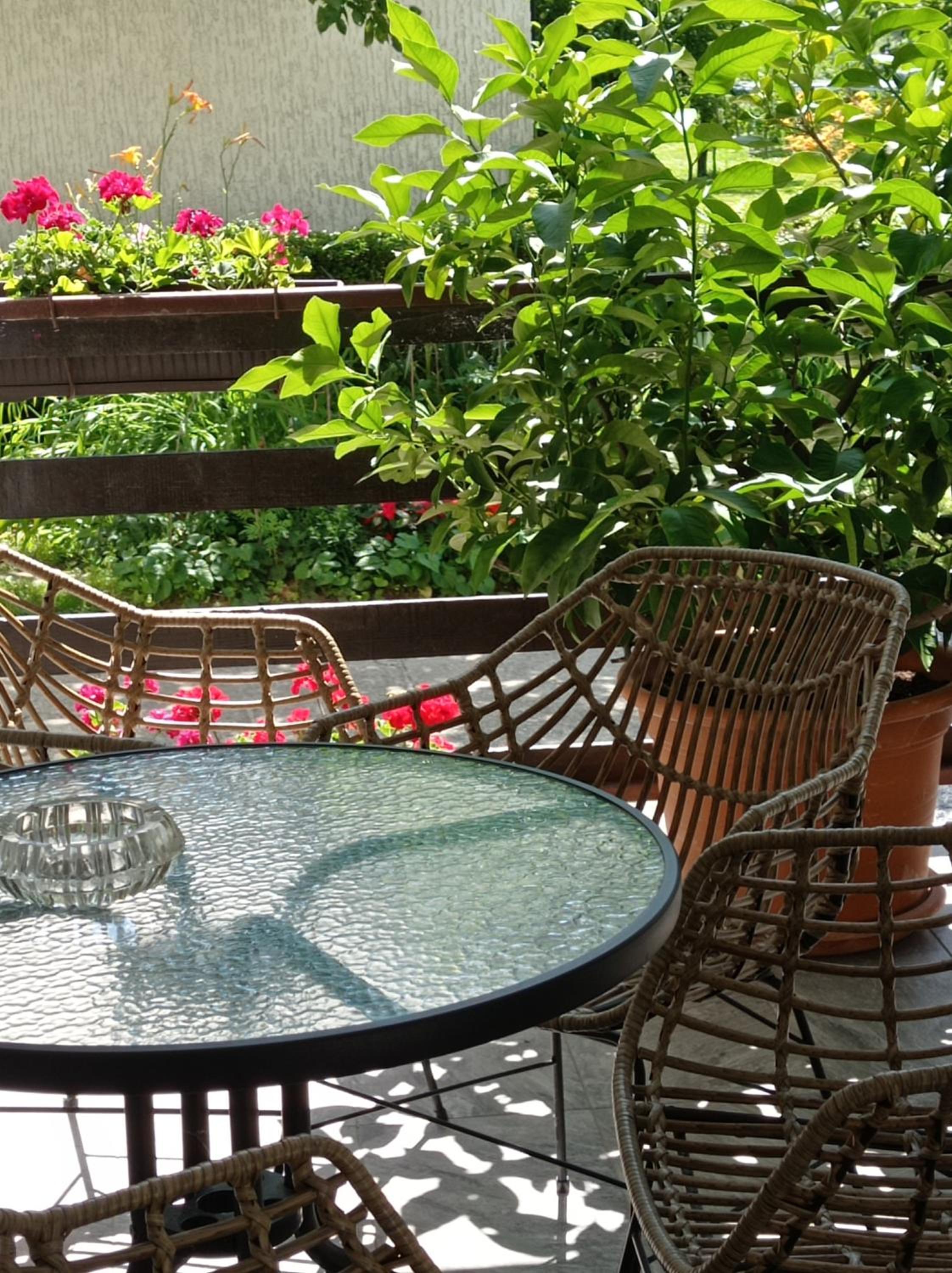 Apartman Škudar