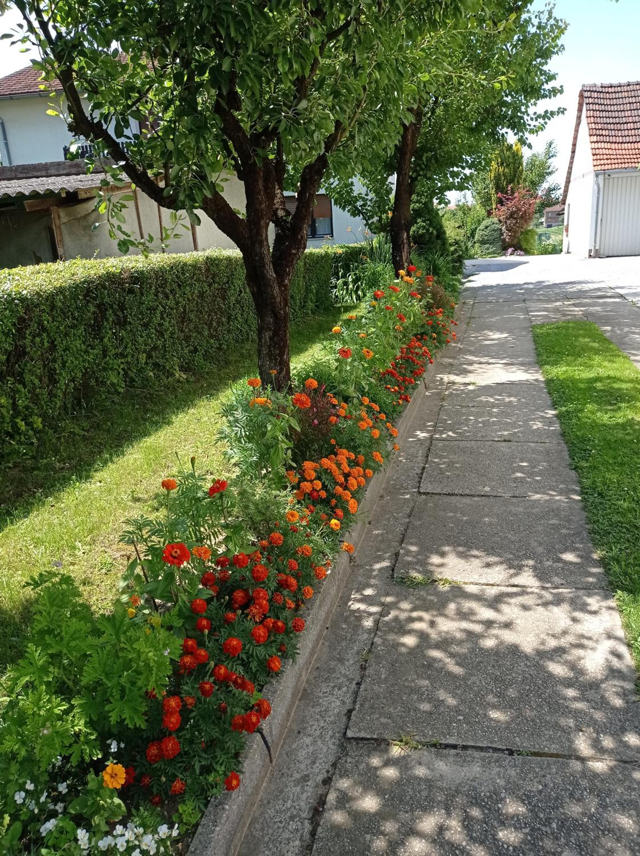 Apartman Škudar
