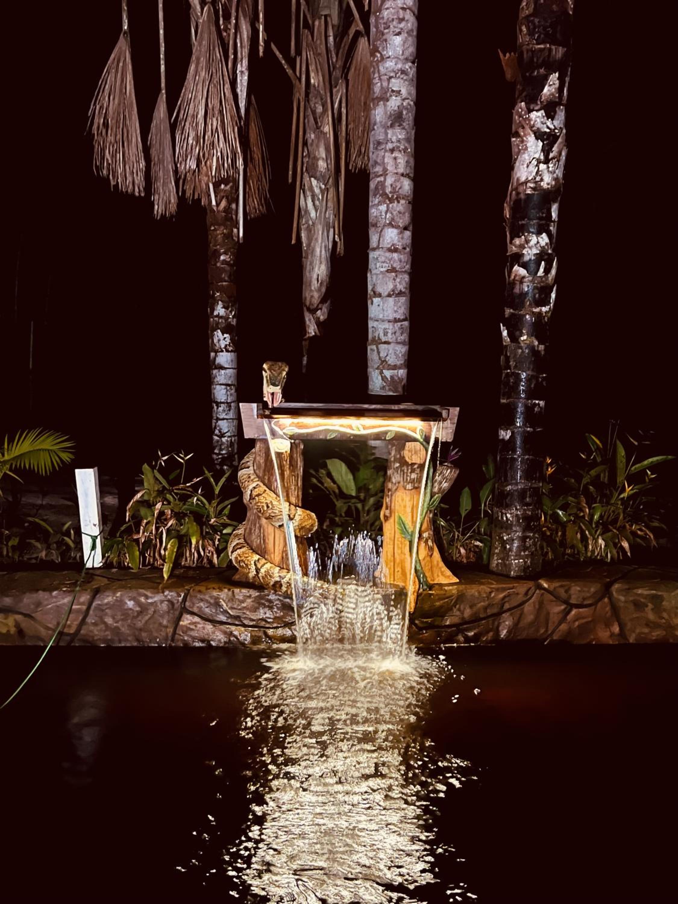 Cirandeira Amazon World EcoResort