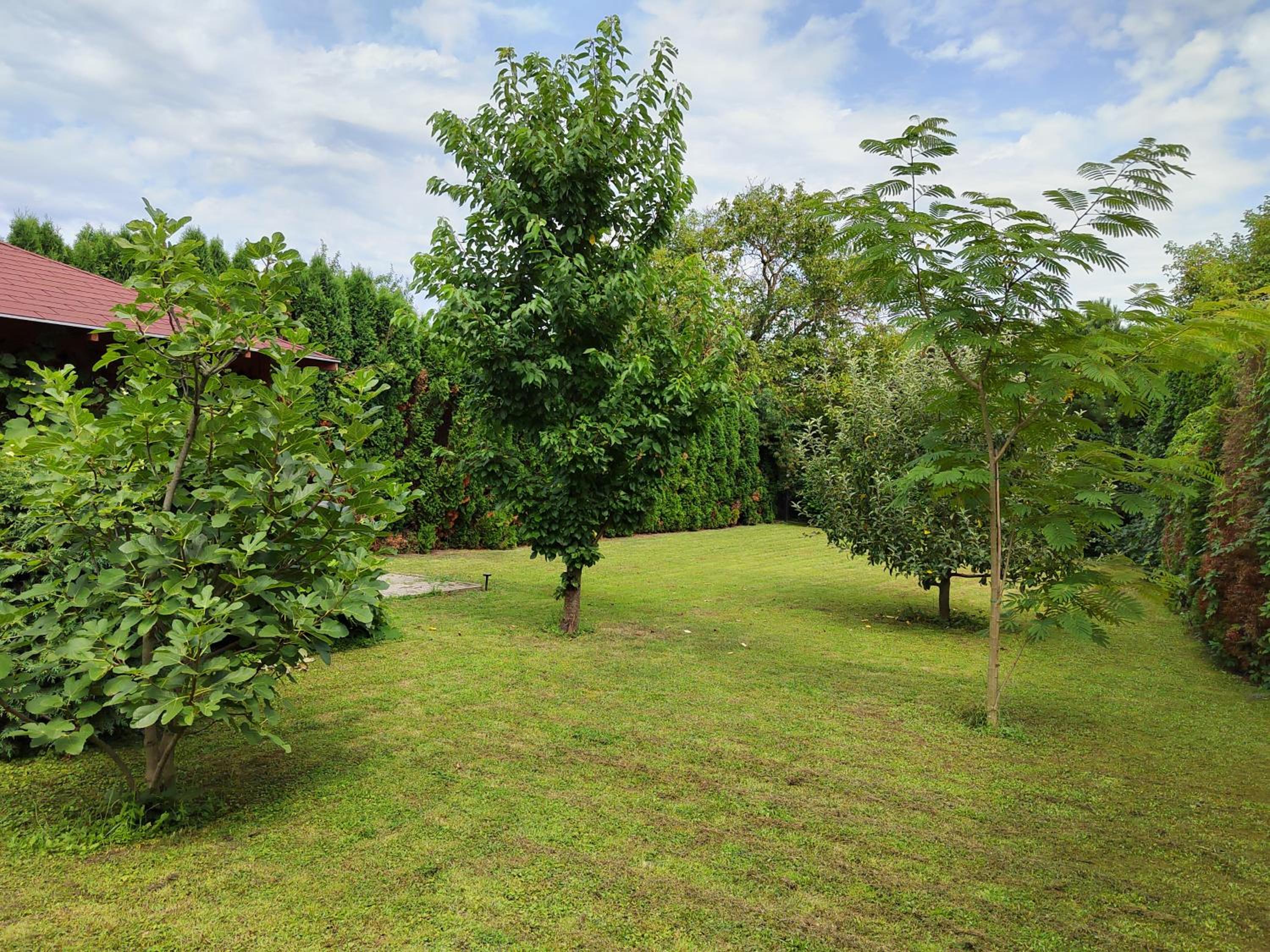 Villa Viktoria view 5