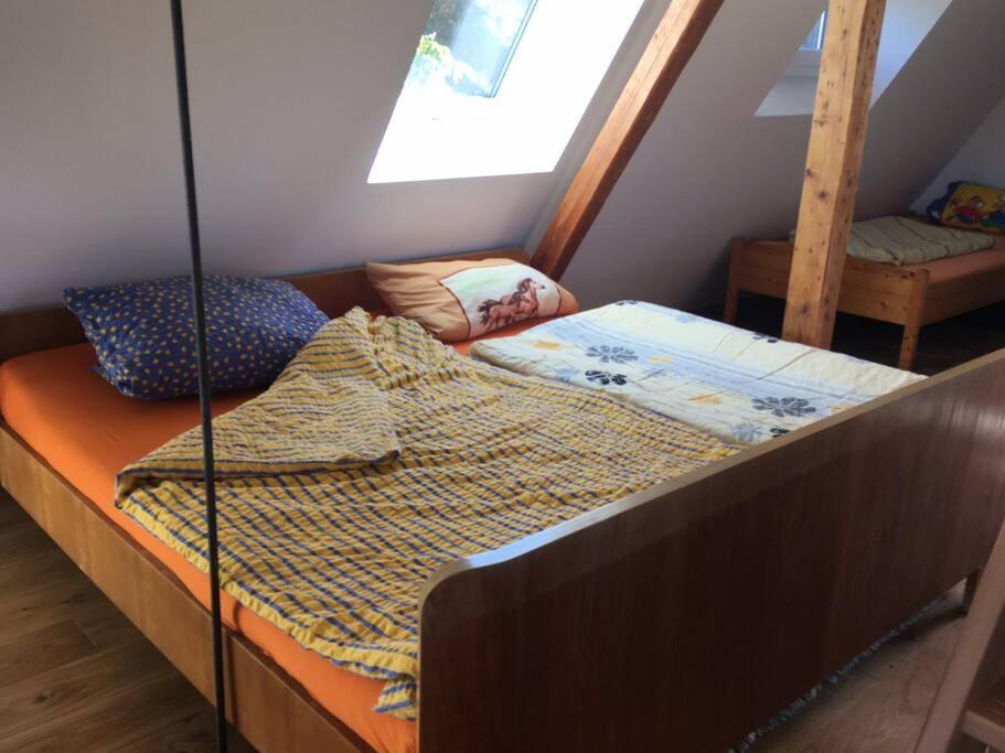 Ferienwohnung Rheinblick, Sport-Pool