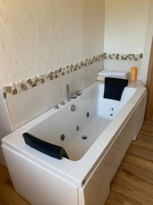 Ferienwohnung Rheinblick, Sport-Pool