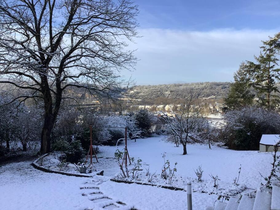 Ferienwohnung Rheinblick, Sport-Pool