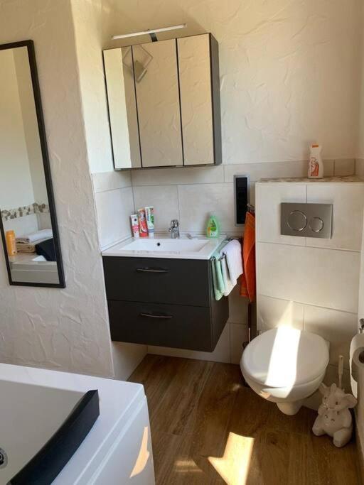 Ferienwohnung Rheinblick, Sport-Pool