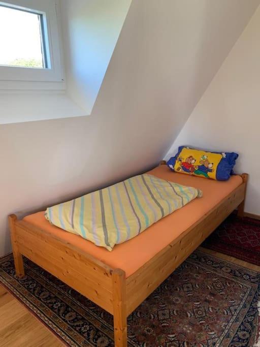 Ferienwohnung Rheinblick, Sport-Pool