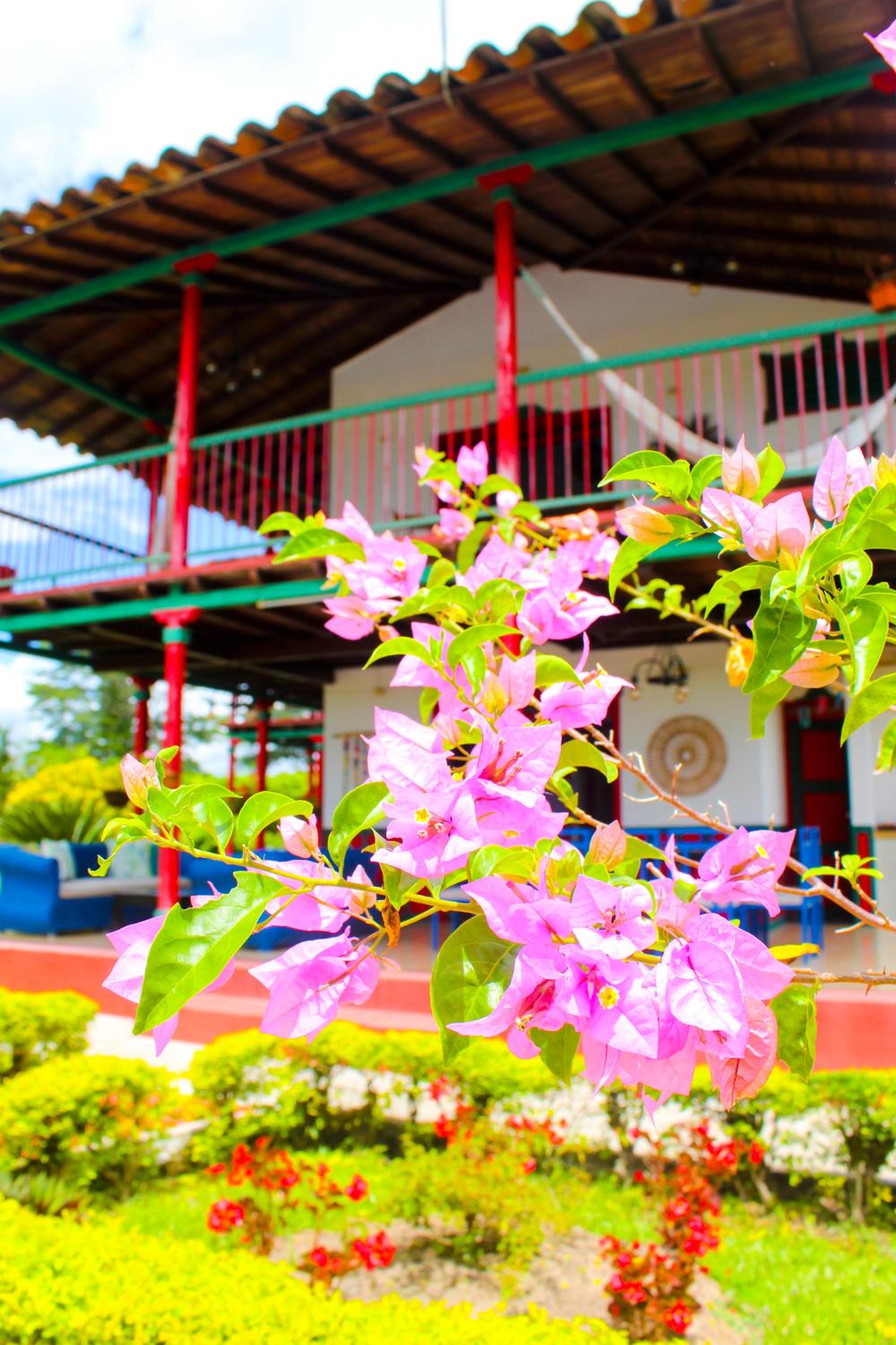 Casa Abba Hotel