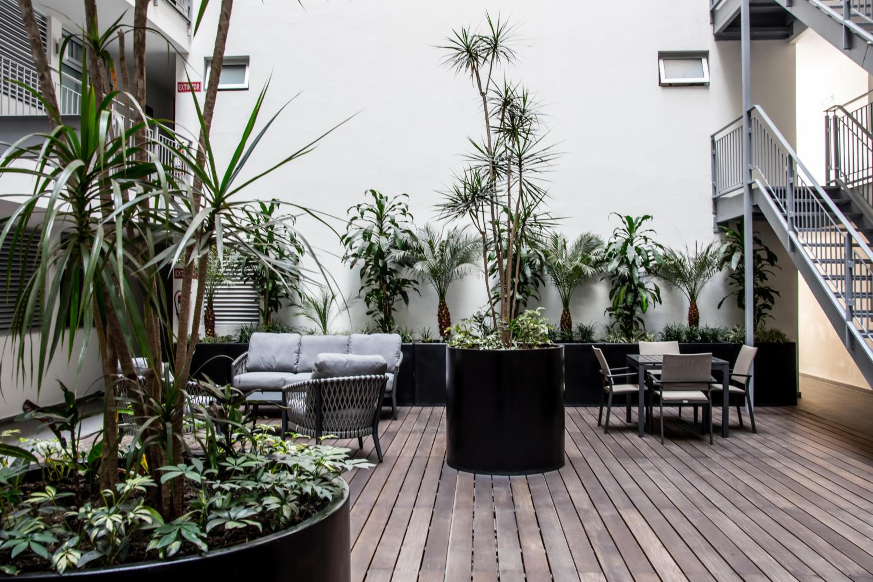 2 BR New apartment in Condesa photo 3