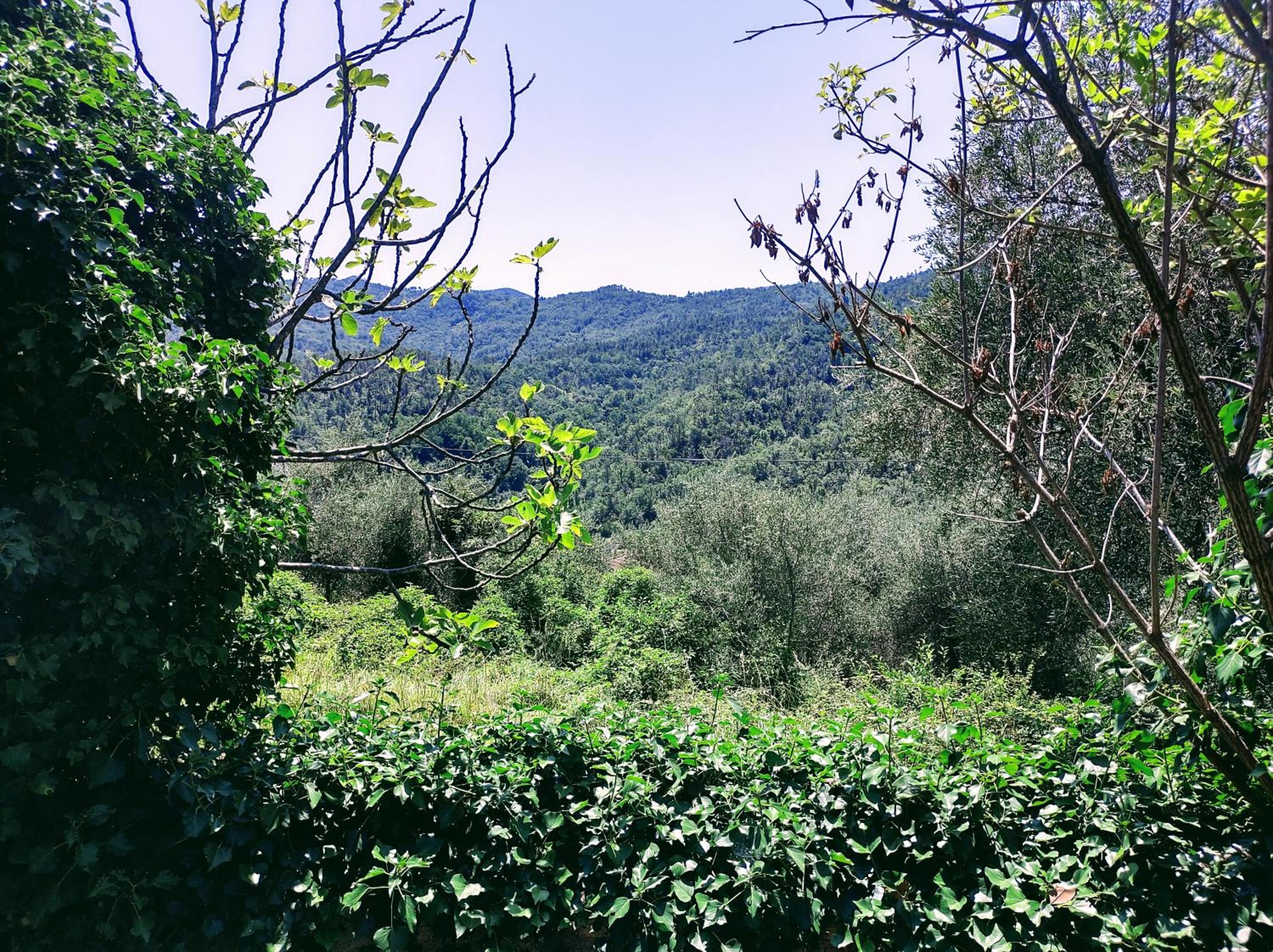 La scala di Ba view 5