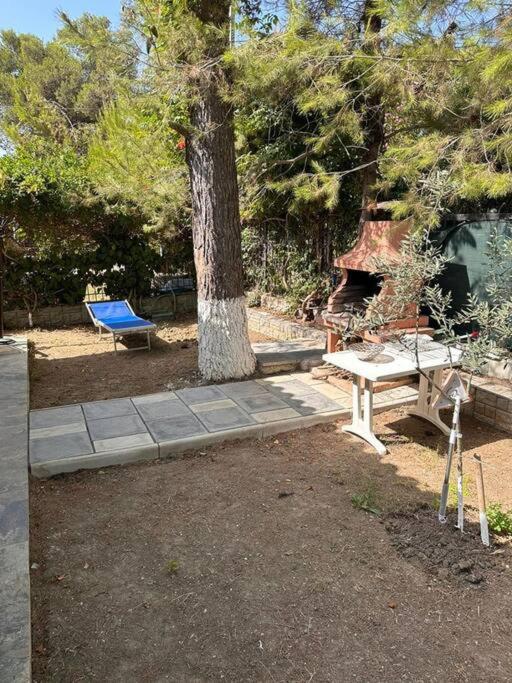 Relax Pine Villa Residence
