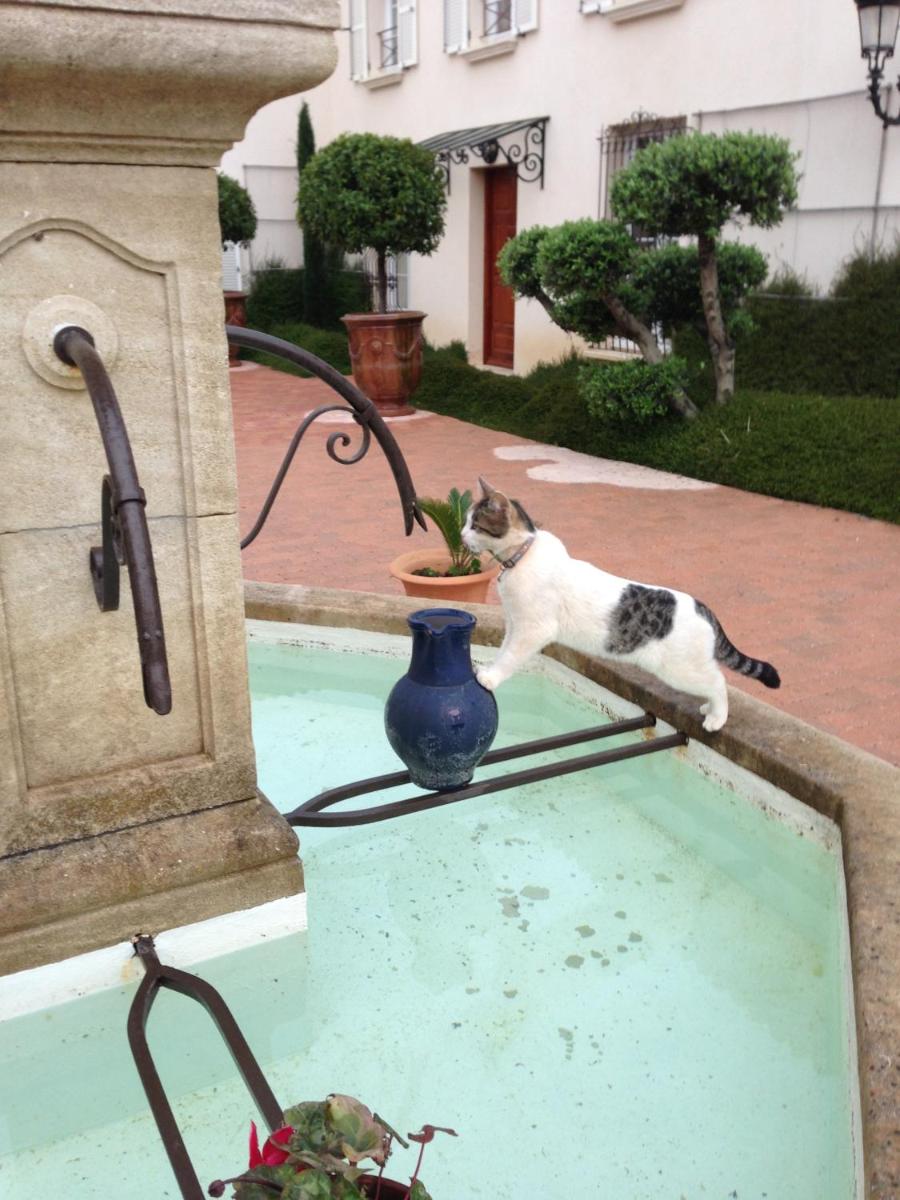 Photo 53