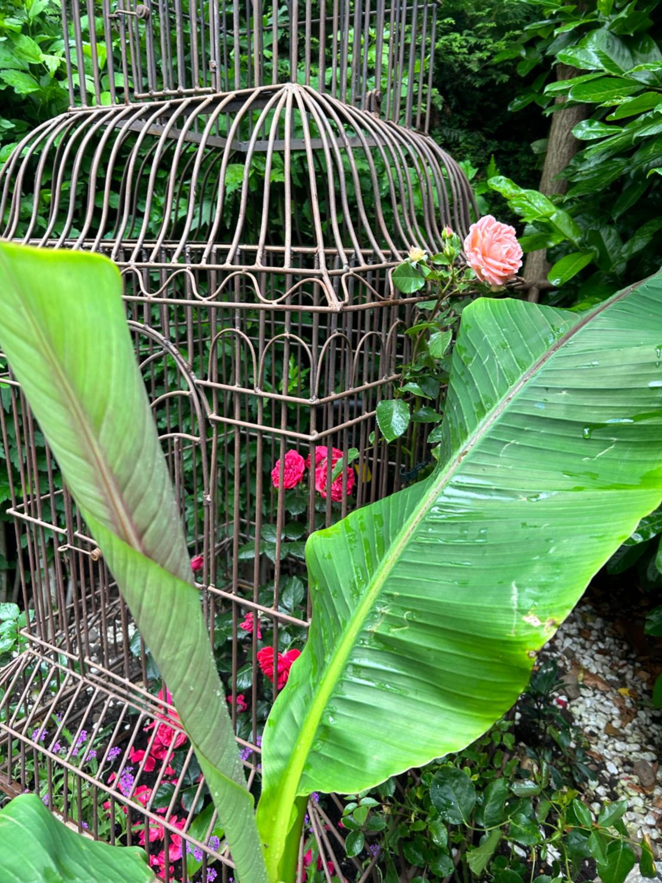 Daianas Corner