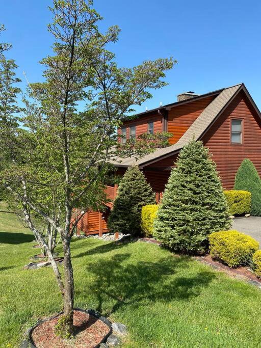 Beautiful Cabin near New River with Mountain Views! view 2