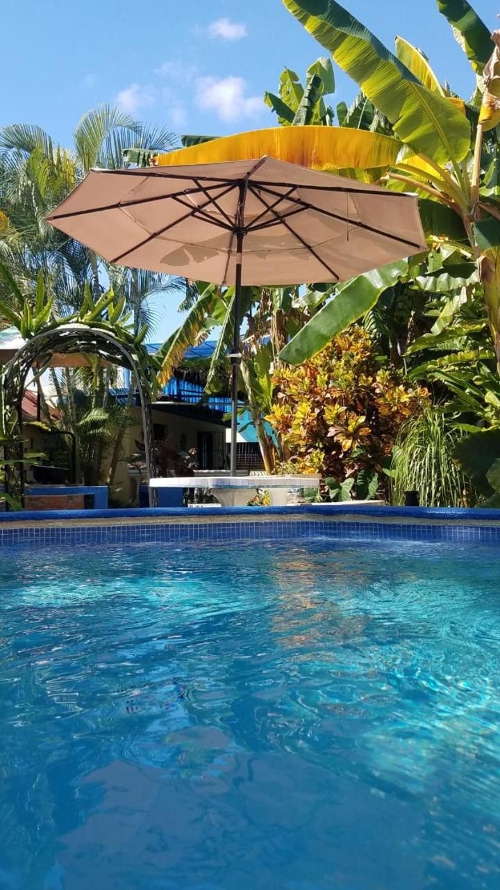 AO EO little wooden house honeymoon suite