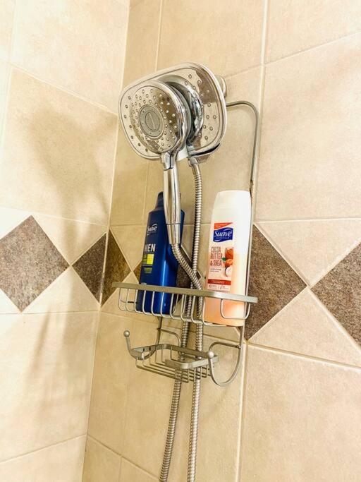 Chicago Vacations - ONE ROOM in AN APT HAVEN - Property Image 5