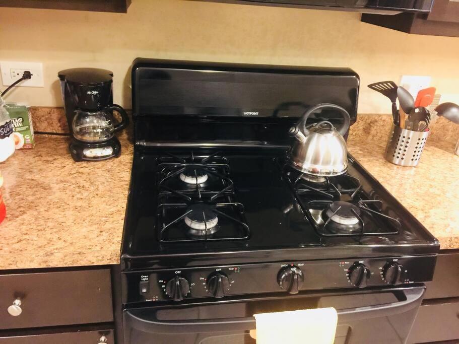 Chicago Vacations - ONE ROOM in AN APT HAVEN - Property Image 30