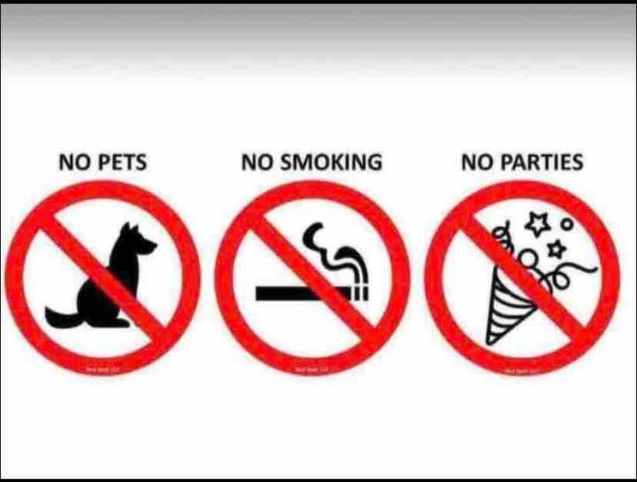 Chicago Vacations - ONE ROOM in AN APT HAVEN - Property Image 25