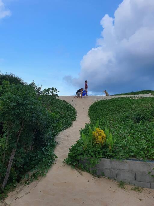 Photo 33