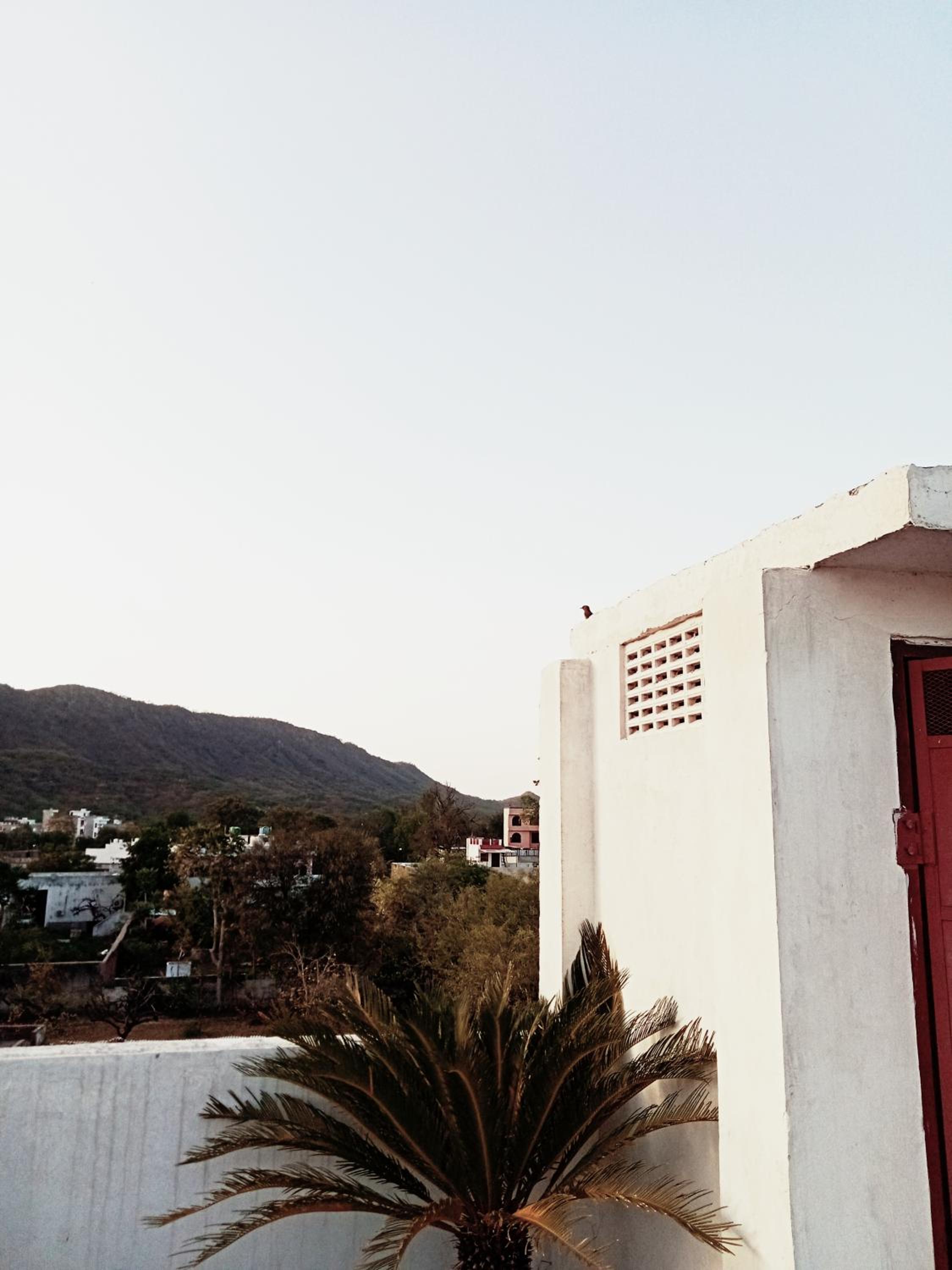roof