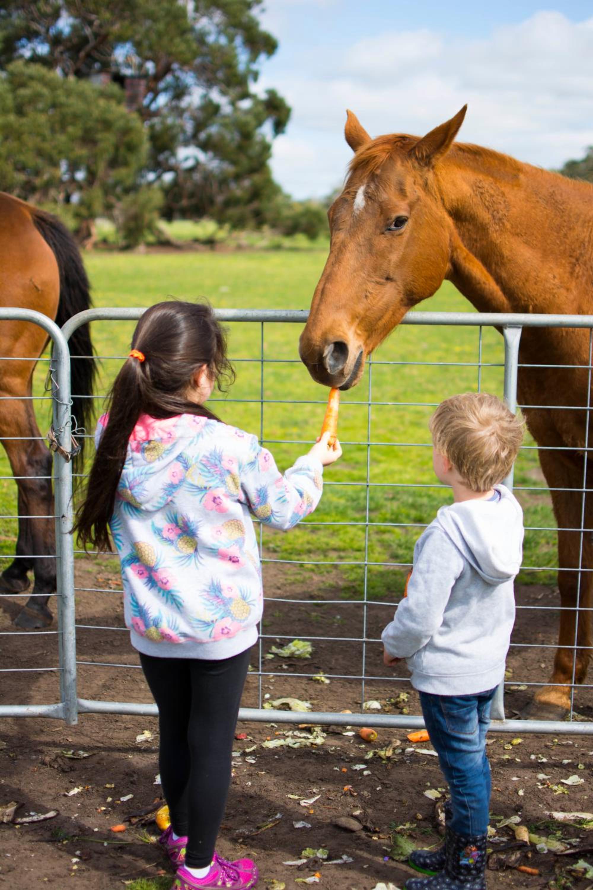 Freshwater Creek Cottages & Farm Stay
