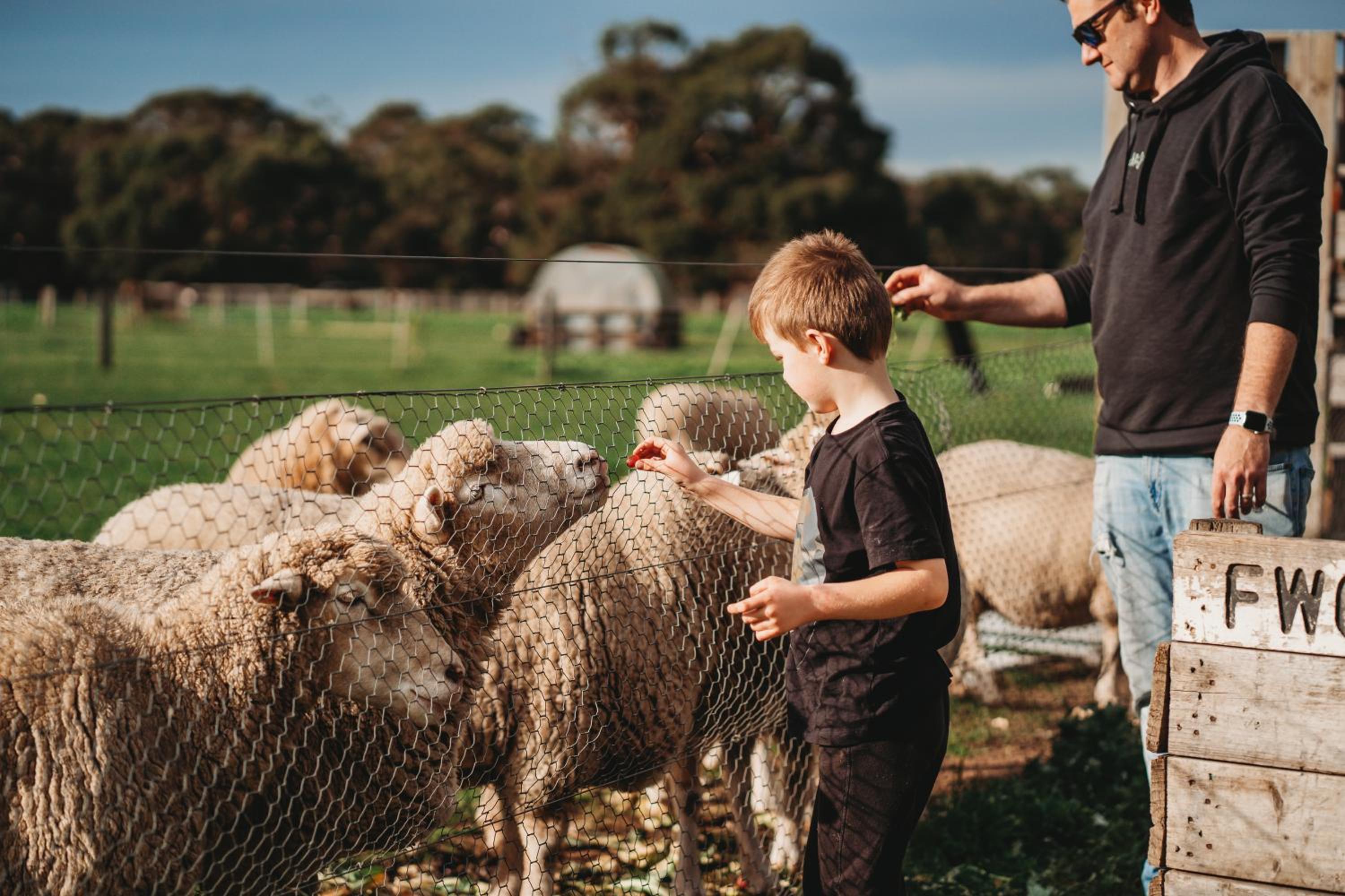 Freshwater Creek Cottages & Farm Stay