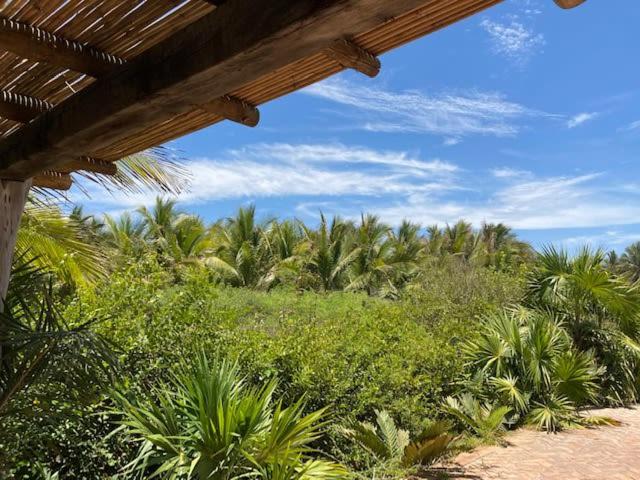 Villa Palmeras Puerto Escondido Beachfront