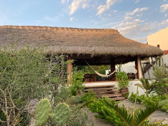 Villa Palmeras Puerto Escondido Beachfront