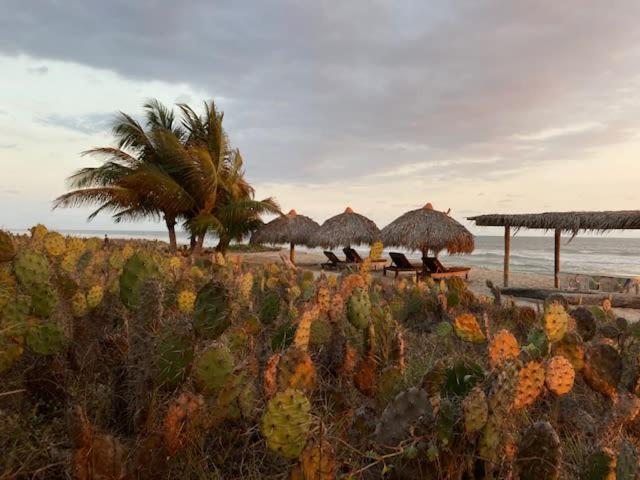 Villa Palmeras Puerto Escondido Beachfront