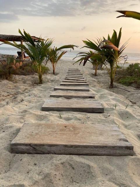 Villa Palmeras Puerto Escondido Beachfront