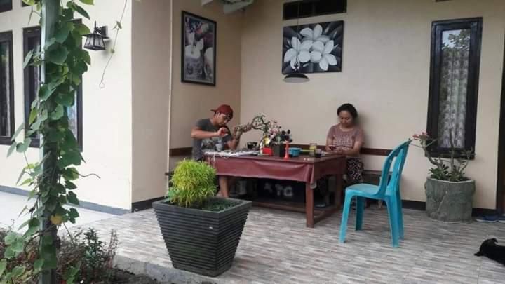 Photo 50