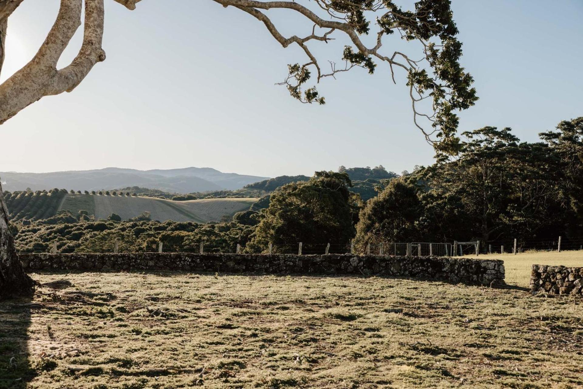 Amileka - luxury 25 acre estate with pool