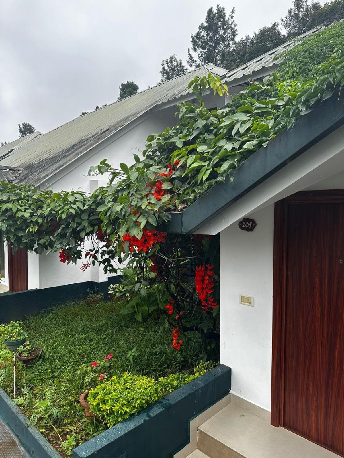 Munnar Tea Hills Resort - MTHR