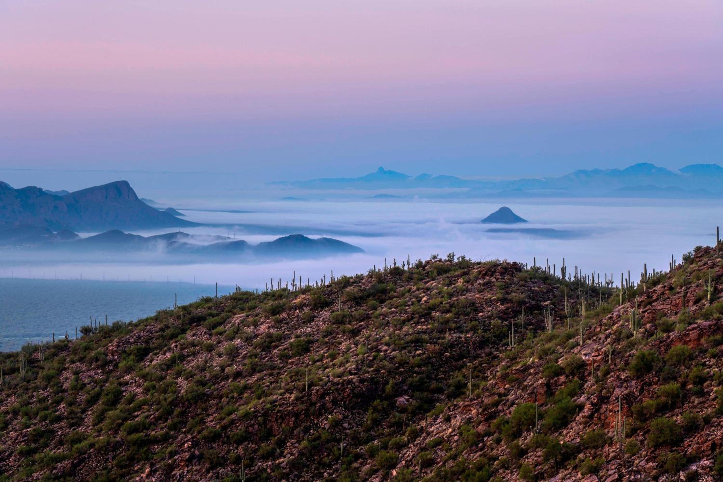 The Ritz-Carlton, Dove Mountain view 5