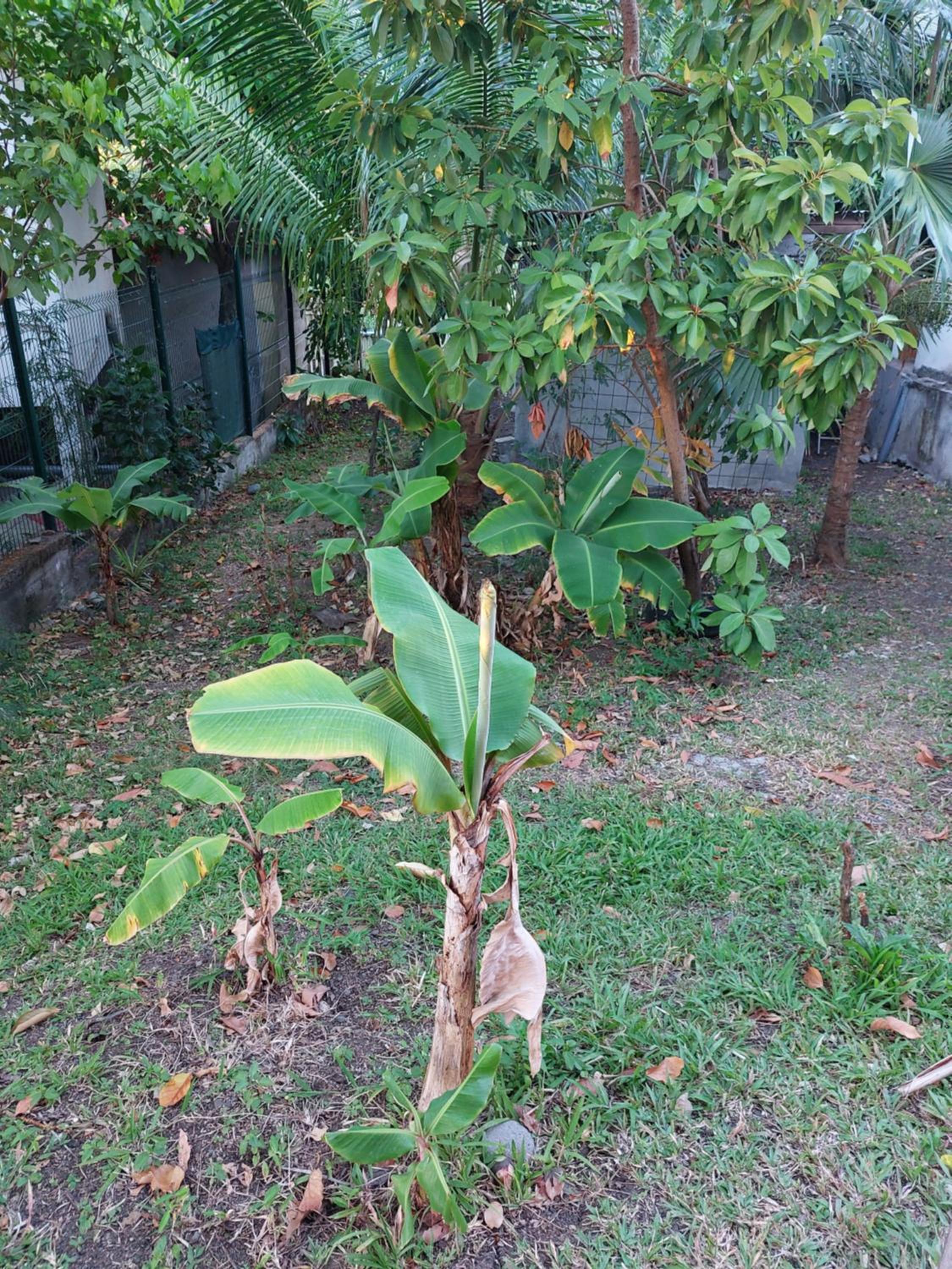 Photo 17