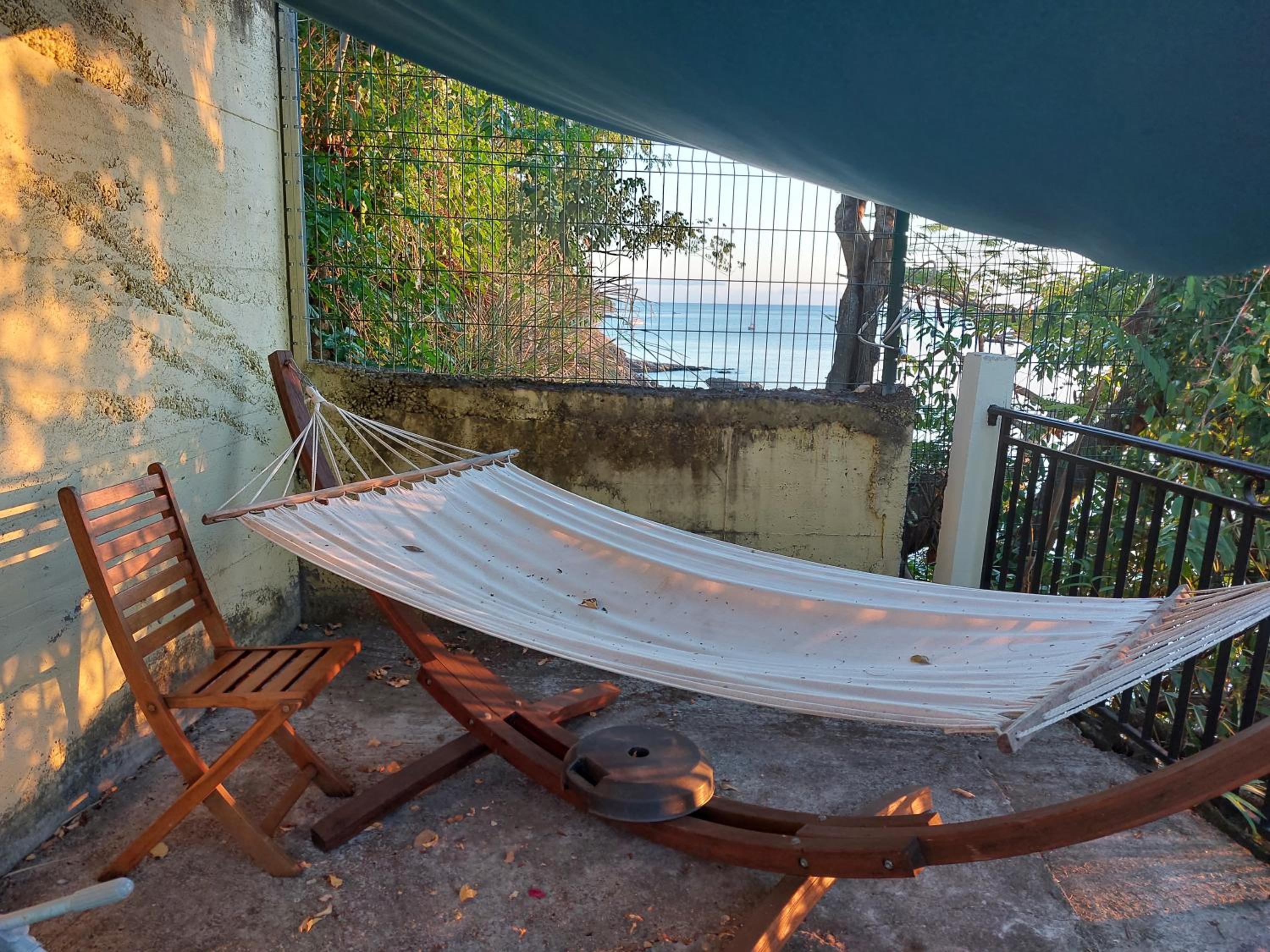 LA TERRASSE DES TORTUES