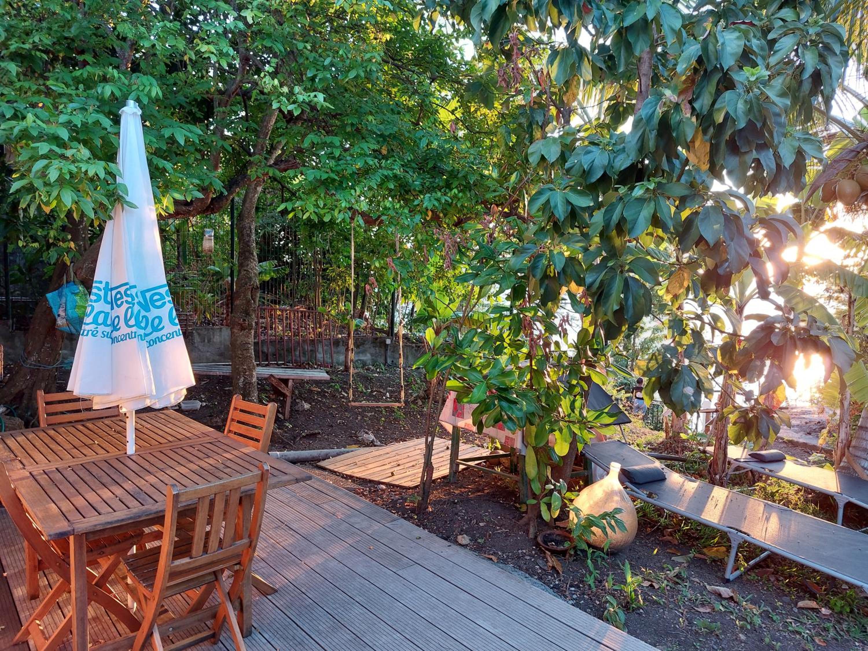 LA TERRASSE DES TORTUES