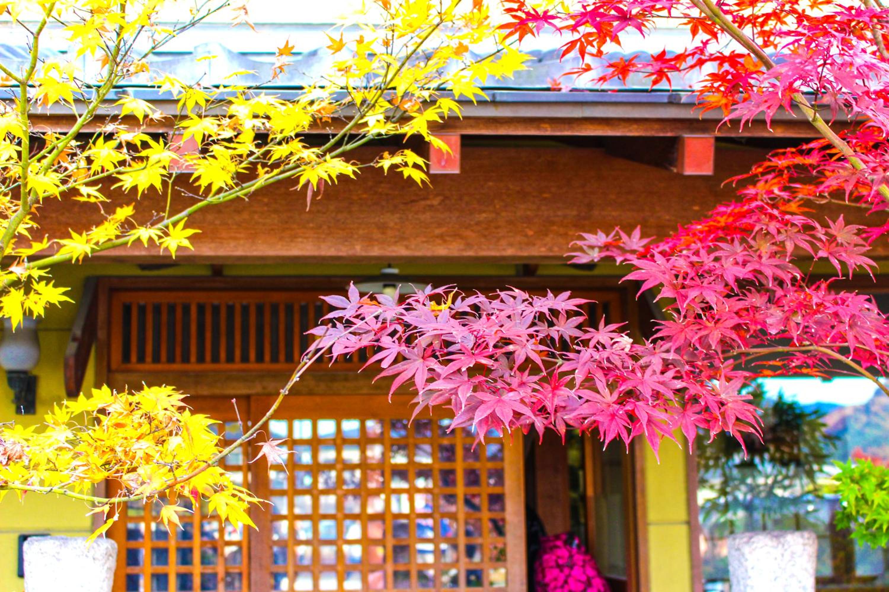 Stay SAKURA Kyoto Nijo Castle West I