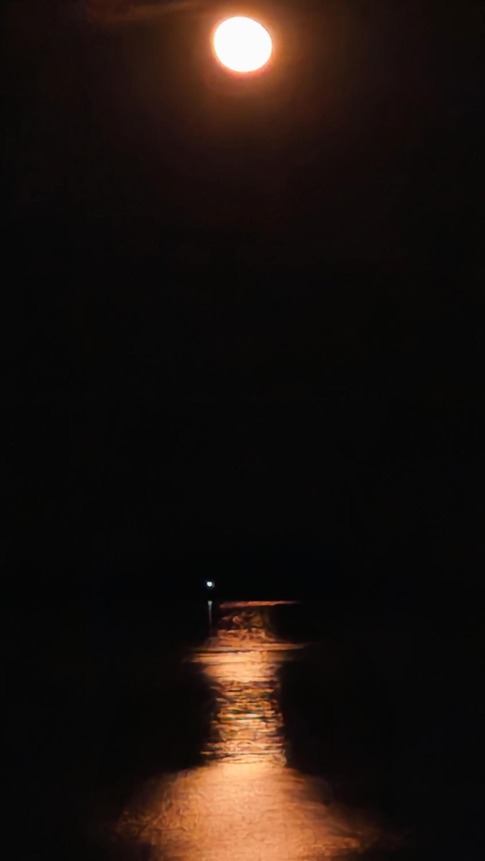 Photo 45
