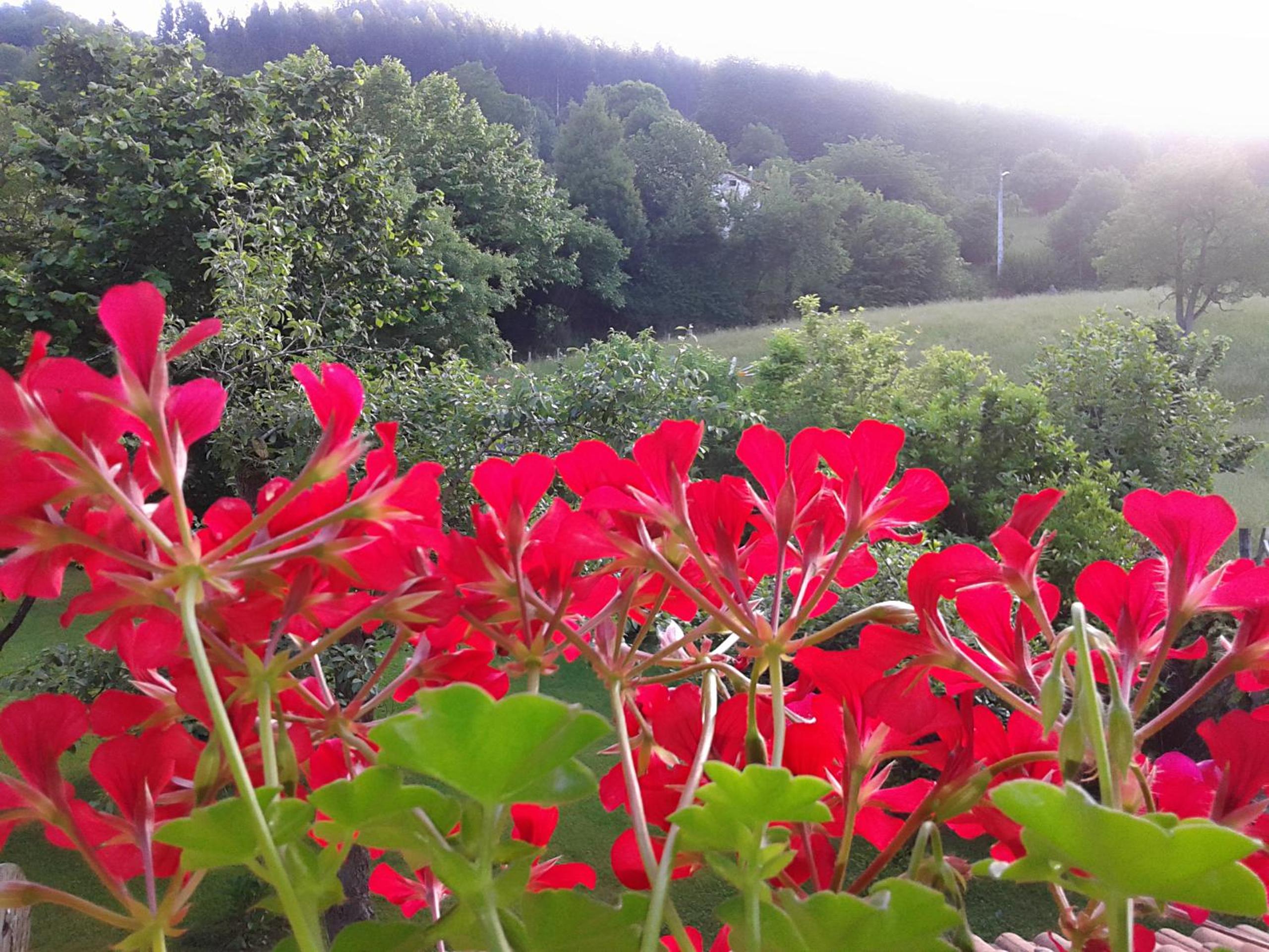 Finca Artienza
