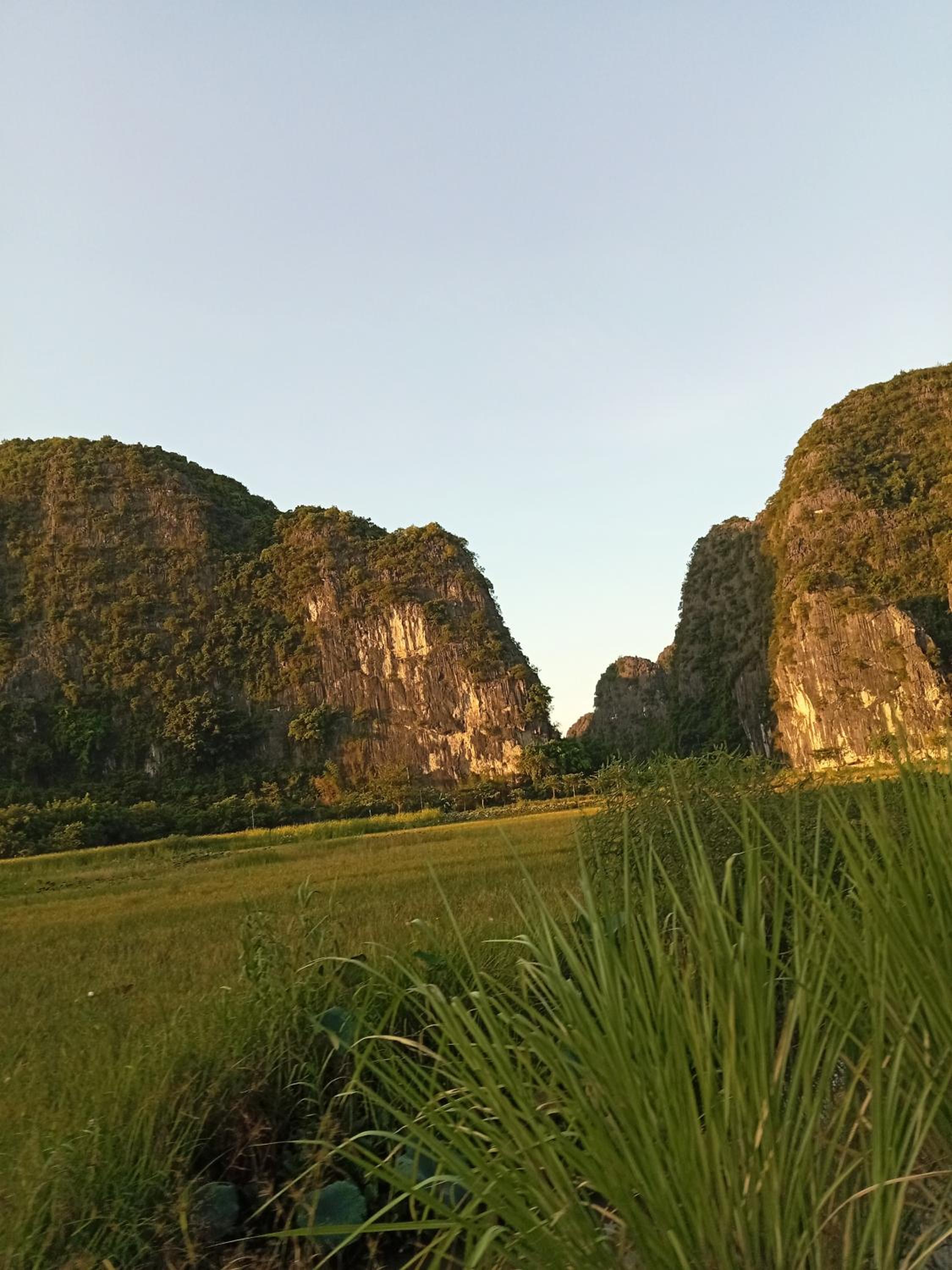 Tam Coc Golden Sun Homestay view 4