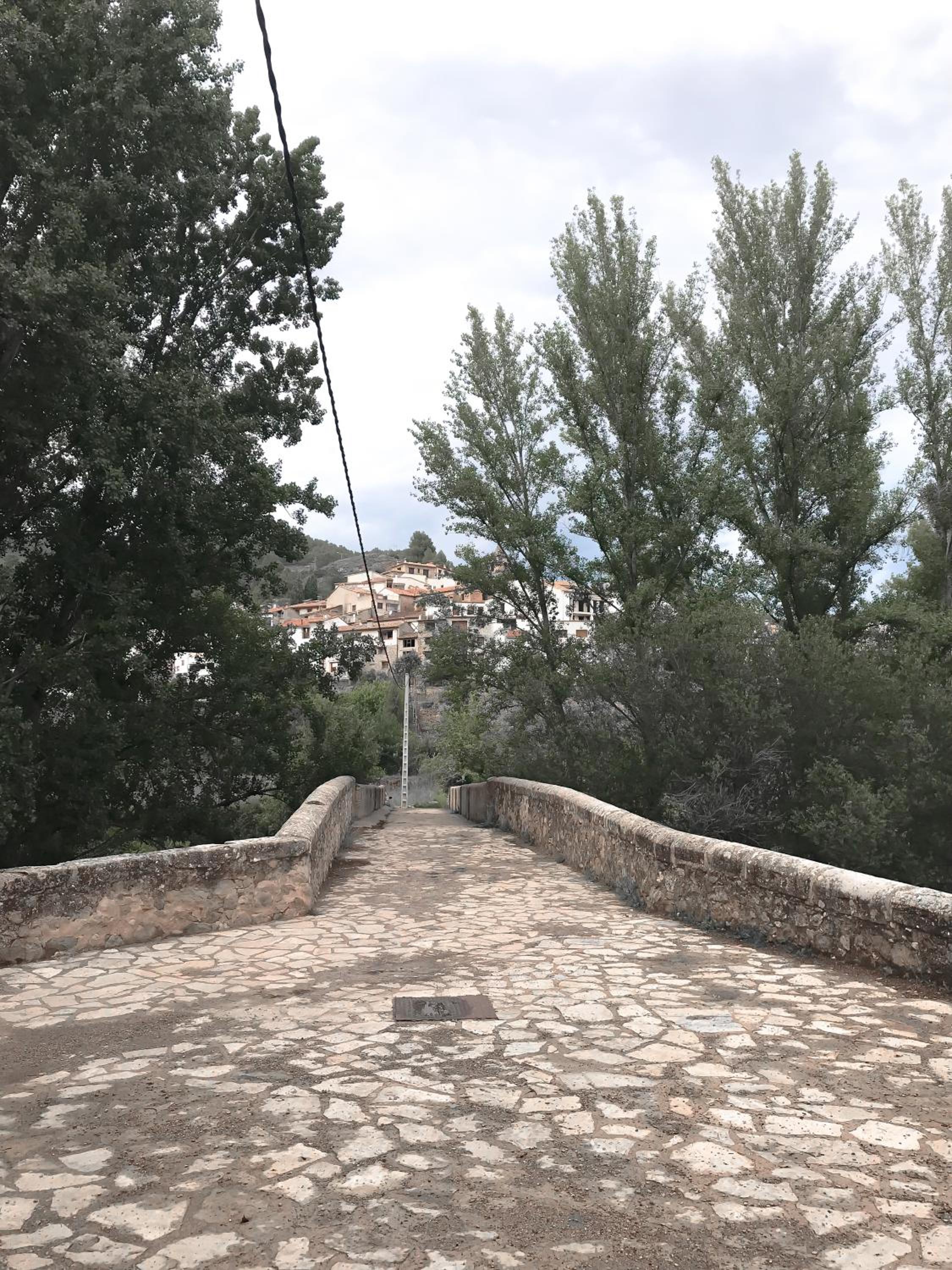 Photo 33