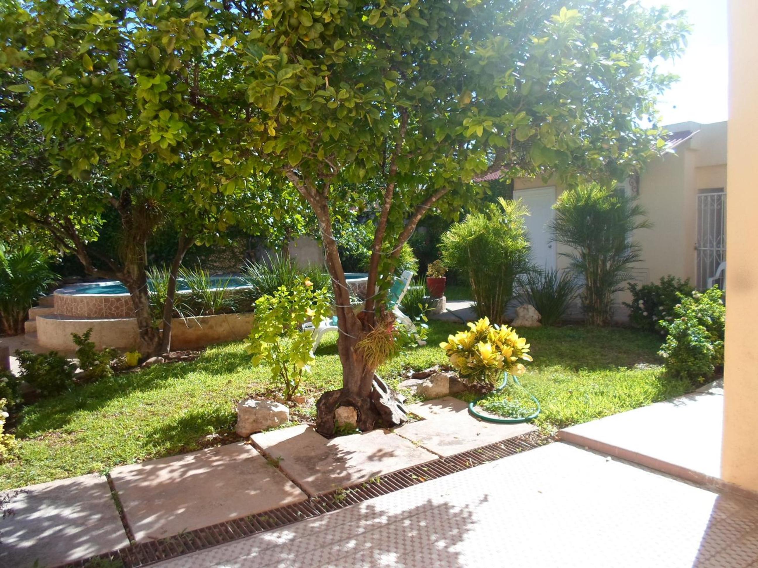 Photo 13