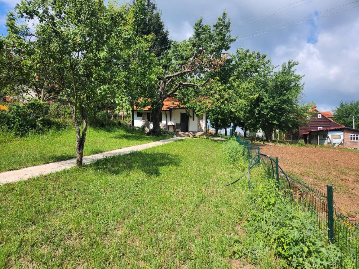 Vila Kruna
