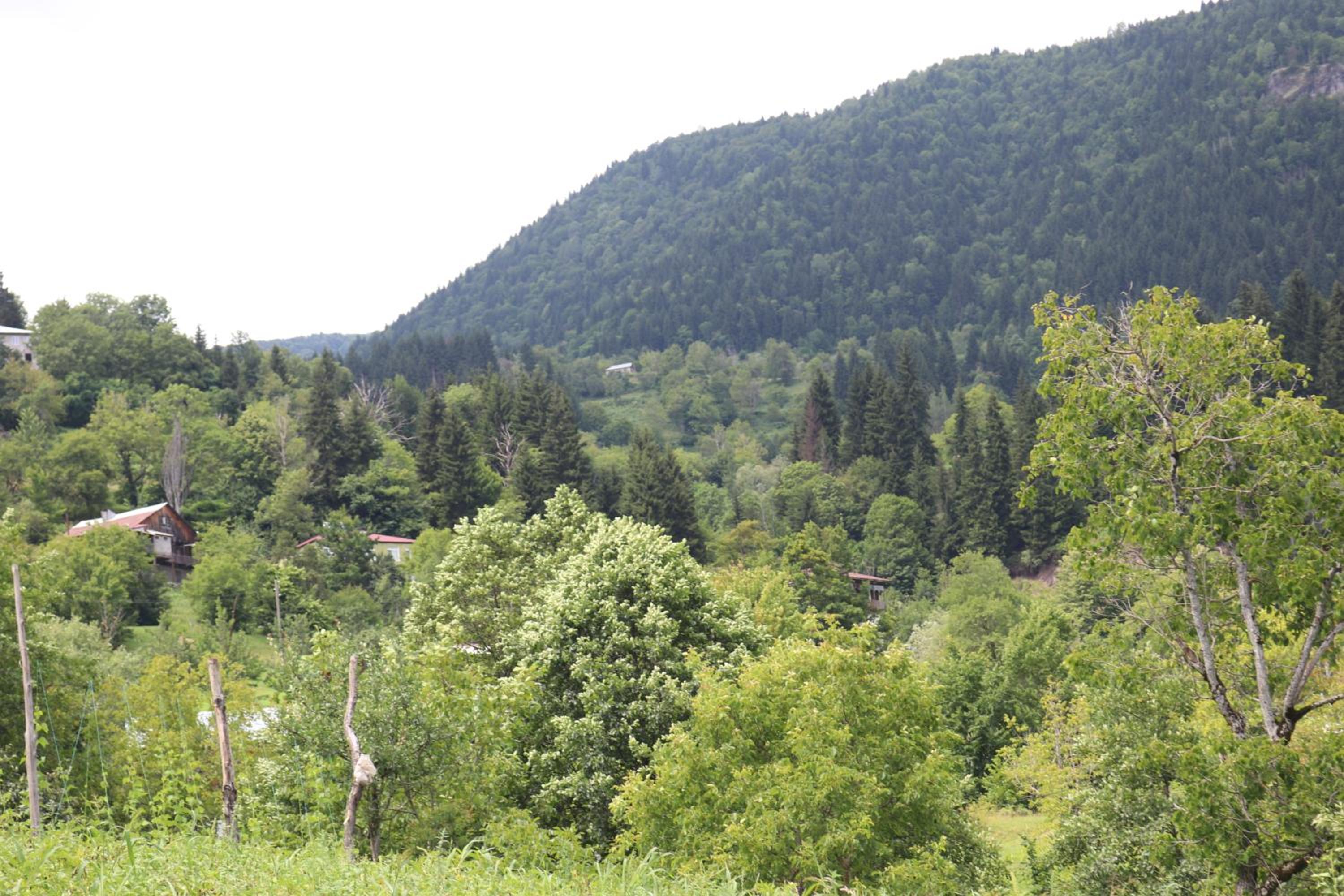 Photo 24