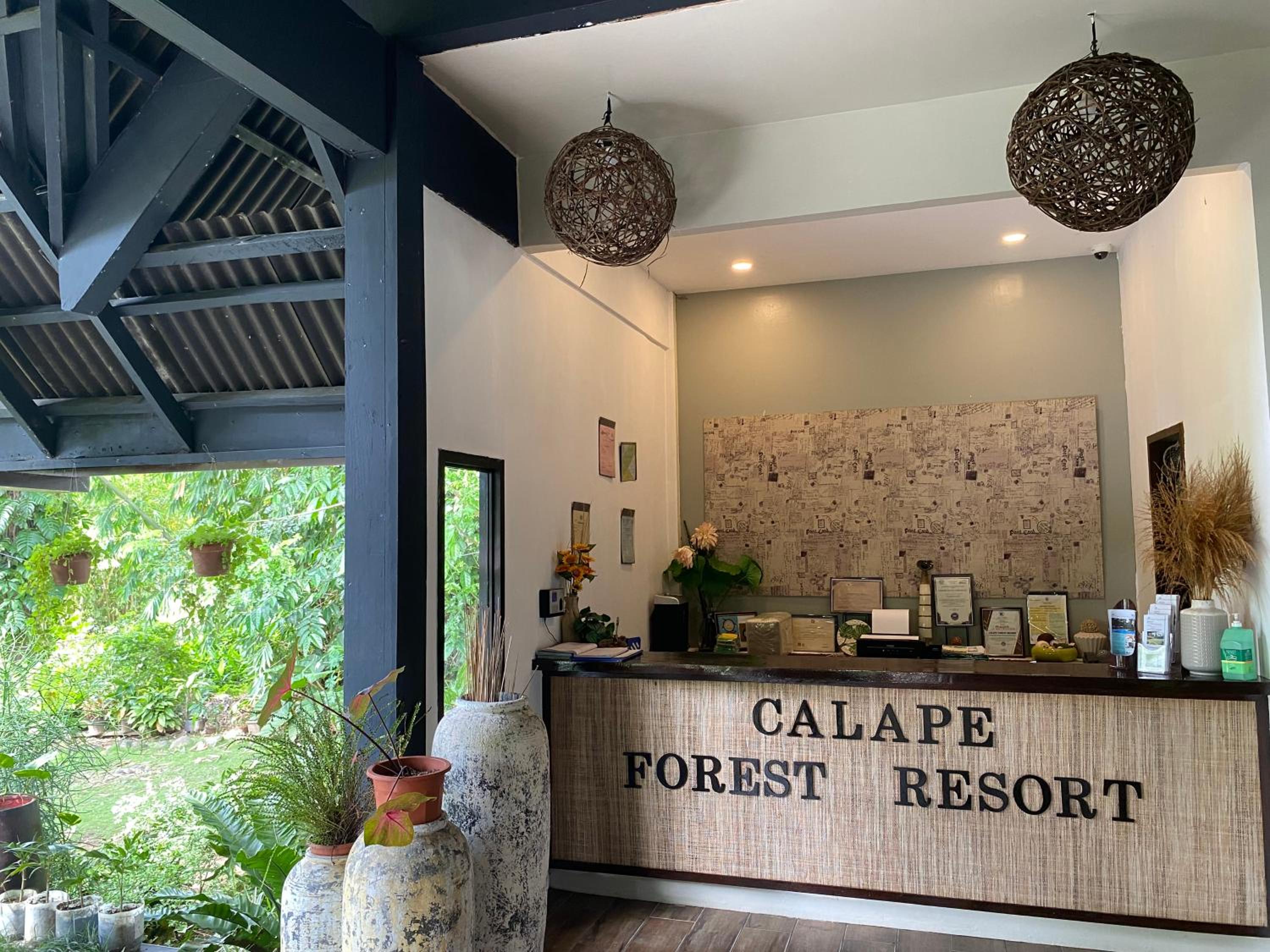 Lobby & Reception