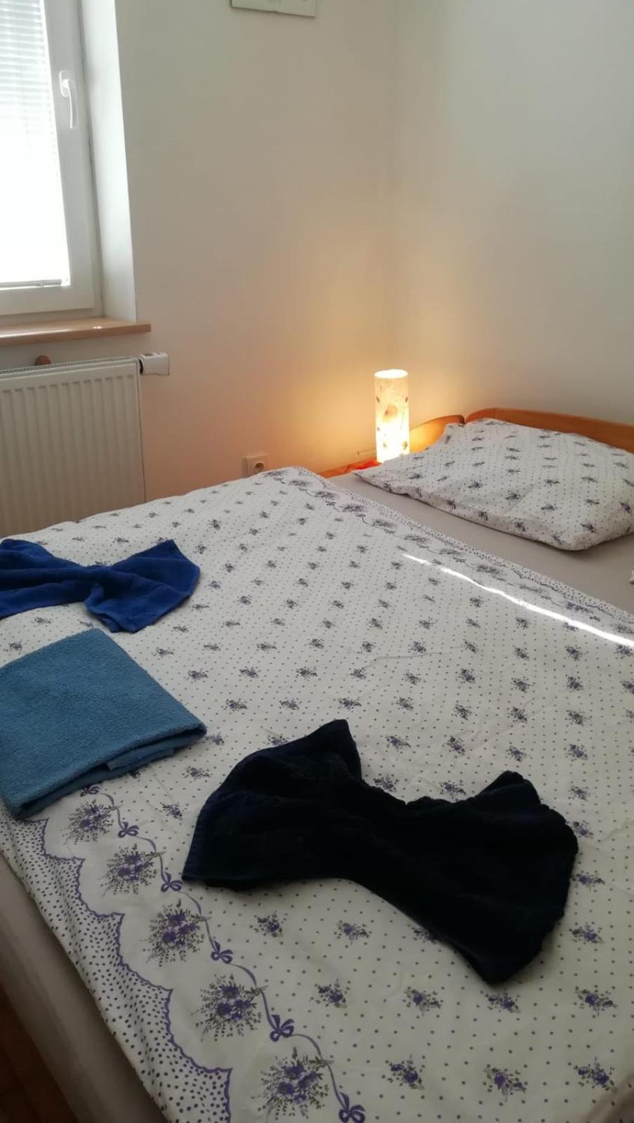 EN Homestay with private top floor, 3 bedrooms, bathroom, kitchenette, host stays downstairs with a cat and 2 small dogs --- CS Soukromé horní patro, 3 lož