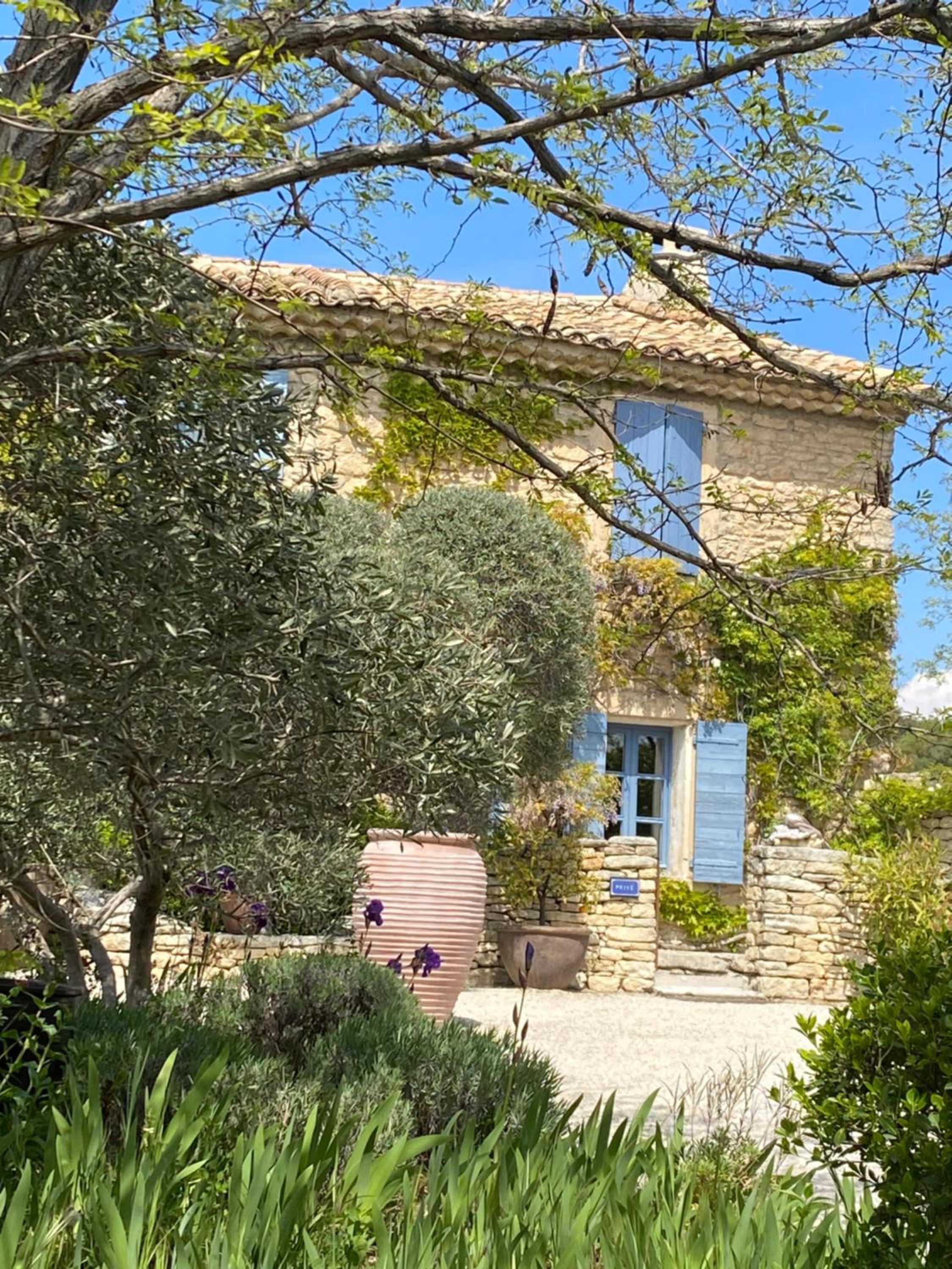 garden