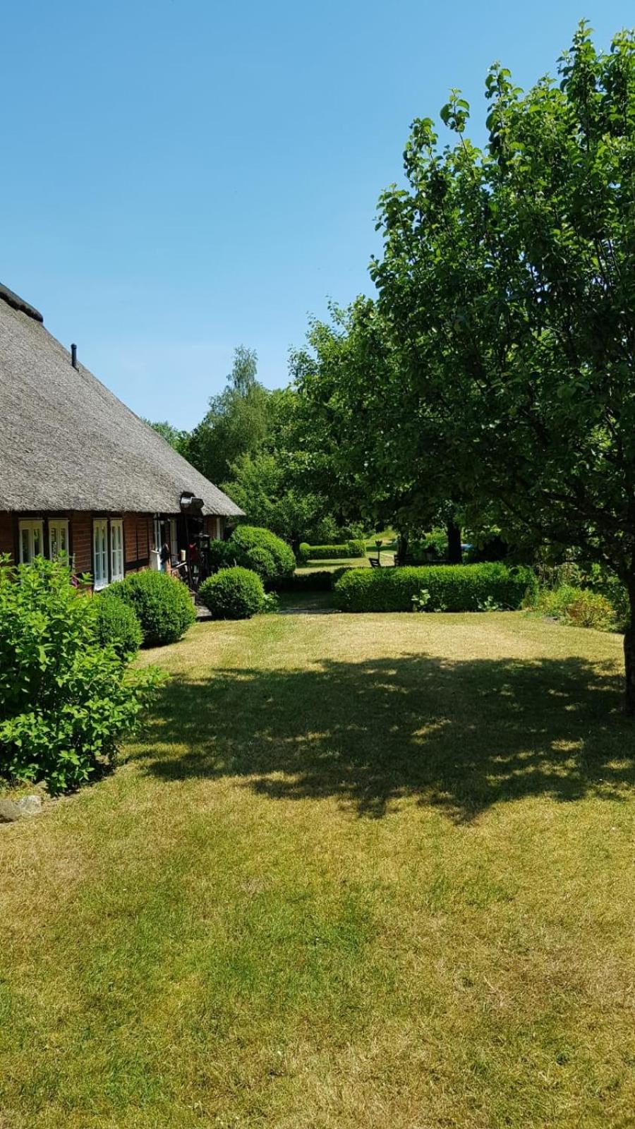 Blaue Grootdoor