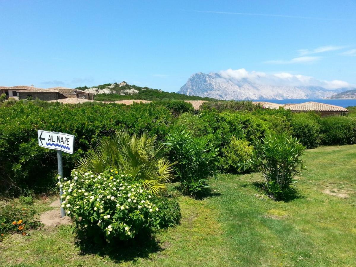 Case Vacanza Cala Paradiso view 4