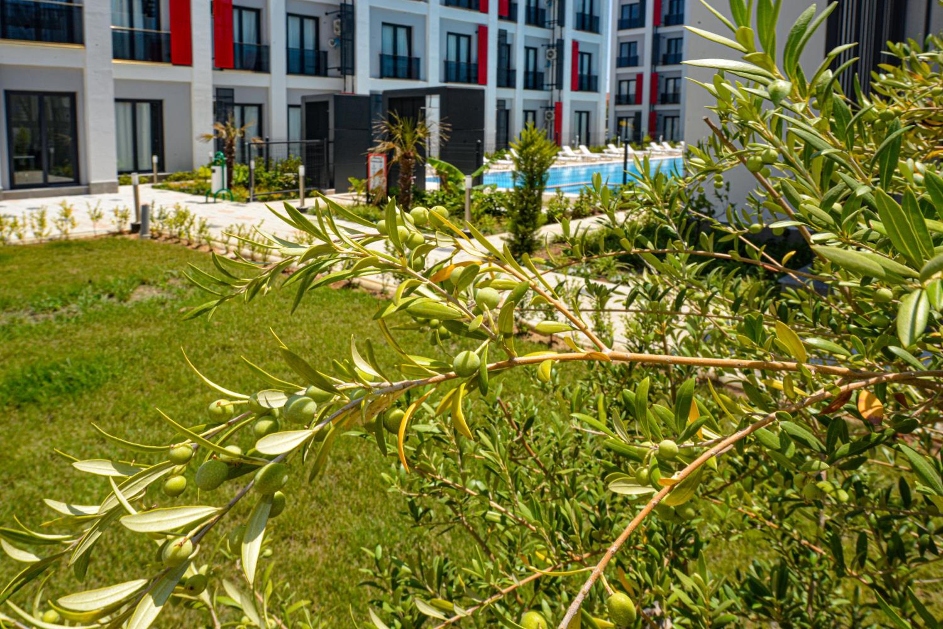 C Suites Antalia - Image 53
